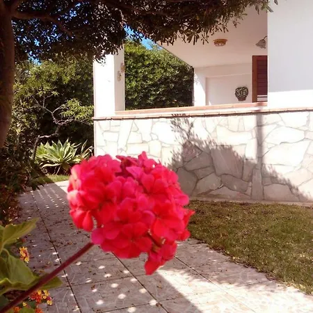 Alessandra Villa